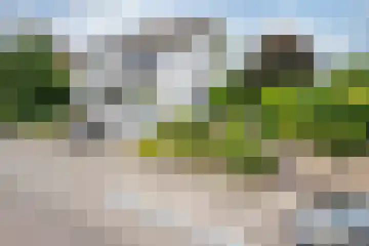 Petroniusstraat 15 Heerlen thumbnail 25