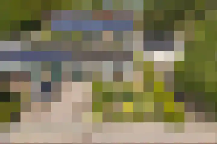 Petrus Aemiliusstraat 23 Ens thumbnail 10