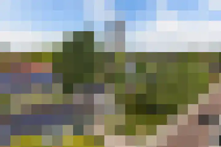 Petrus Aemiliusstraat 23 Ens thumbnail 11