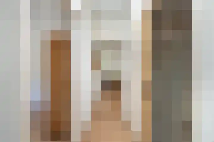 Petrus Aemiliusstraat 23 Ens thumbnail 15