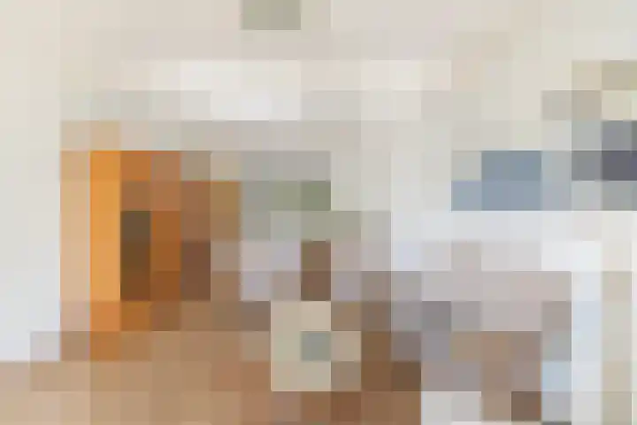 Petrus Aemiliusstraat 23 Ens thumbnail 16
