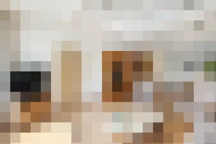 Petrus Aemiliusstraat 23 Ens thumbnail 17