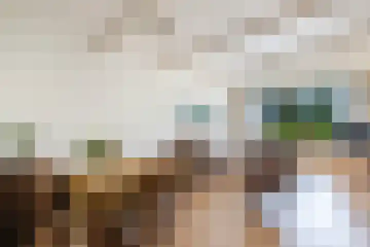 Petrus Aemiliusstraat 23 Ens thumbnail 18