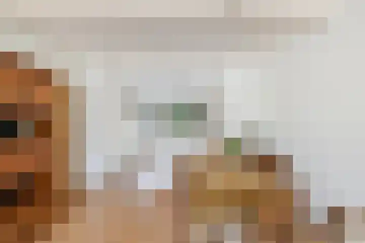 Petrus Aemiliusstraat 23 Ens thumbnail 21