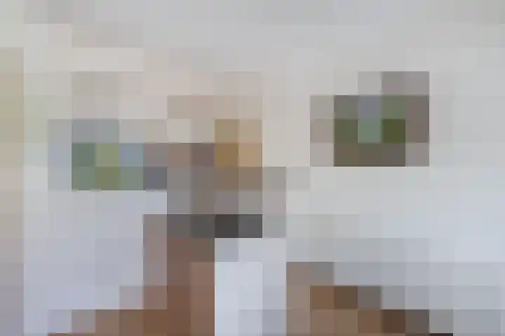Petrus Aemiliusstraat 23 Ens thumbnail 25