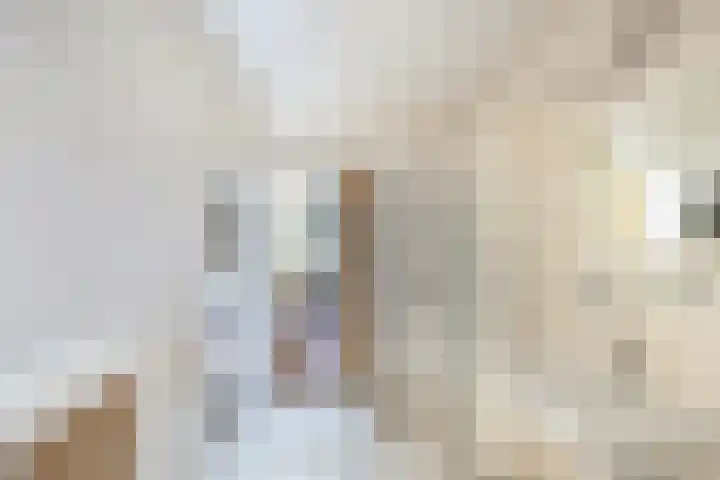Petrus Aemiliusstraat 23 Ens thumbnail 31