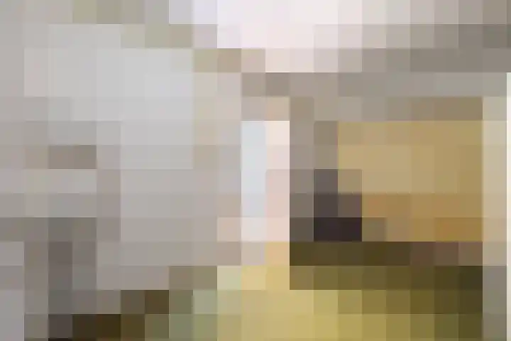 Petrus Aemiliusstraat 23 Ens thumbnail 33