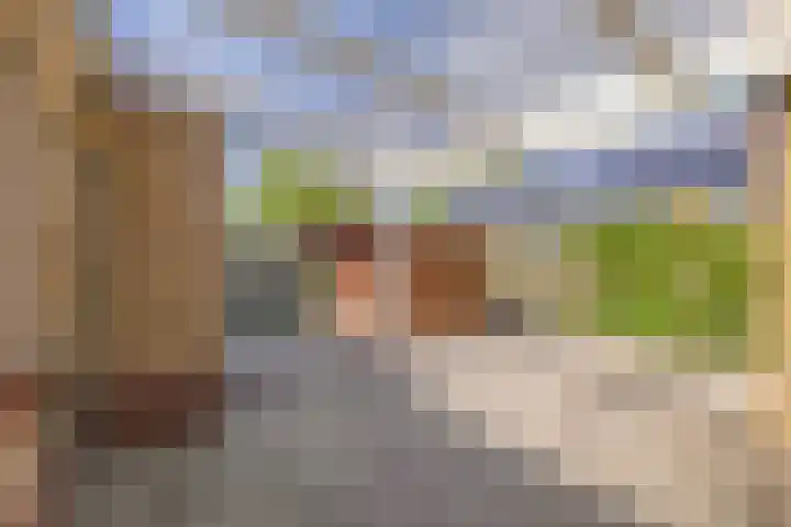Petrus Aemiliusstraat 23 Ens thumbnail 35