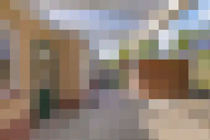 Petrus Aemiliusstraat 23 Ens thumbnail 36