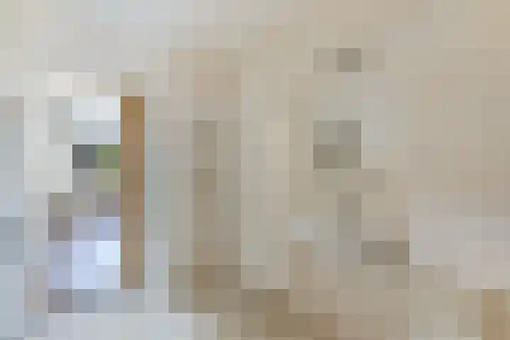 Petrus Aemiliusstraat 23 Ens thumbnail 4