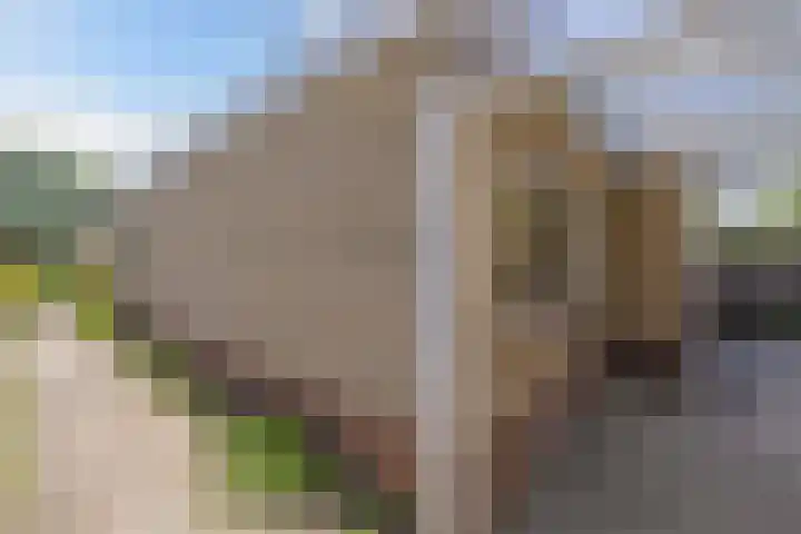 Petrus Aemiliusstraat 23 Ens thumbnail 42