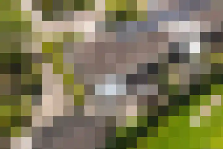 Petrus Aemiliusstraat 23 Ens thumbnail 45