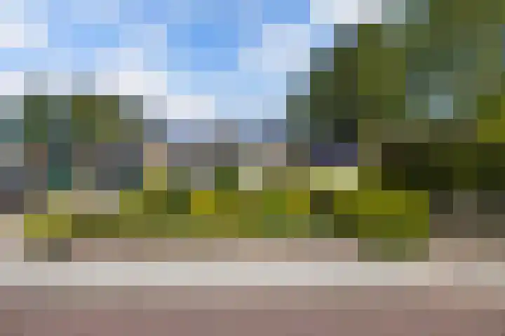 Petrus Aemiliusstraat 23 Ens thumbnail 6