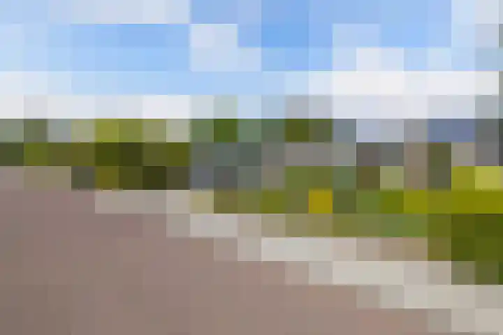 Petrus Aemiliusstraat 23 Ens thumbnail 8