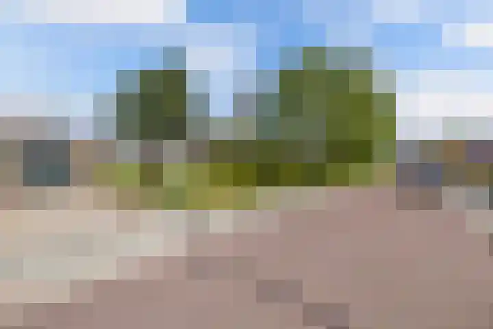 Petrus Aemiliusstraat 23 Ens thumbnail 9