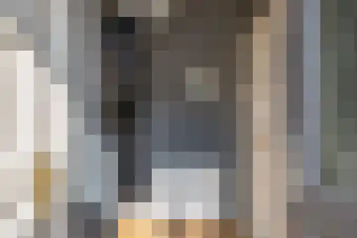 Petrus Aemiliusstraat 49 Ens thumbnail 12