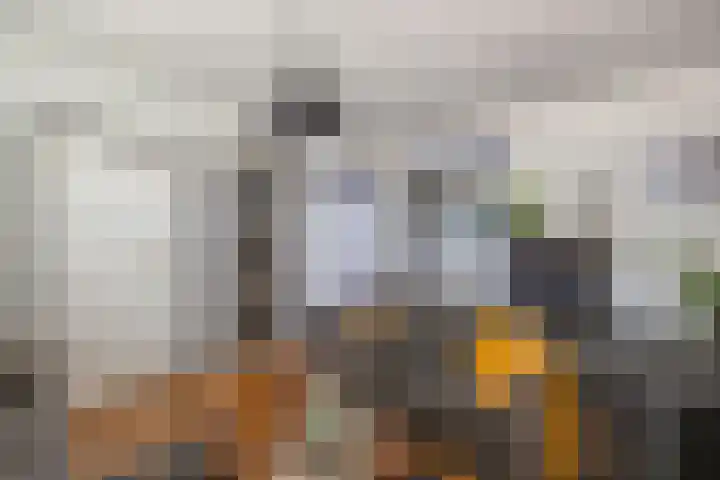 Petrus Aemiliusstraat 49 Ens thumbnail 16