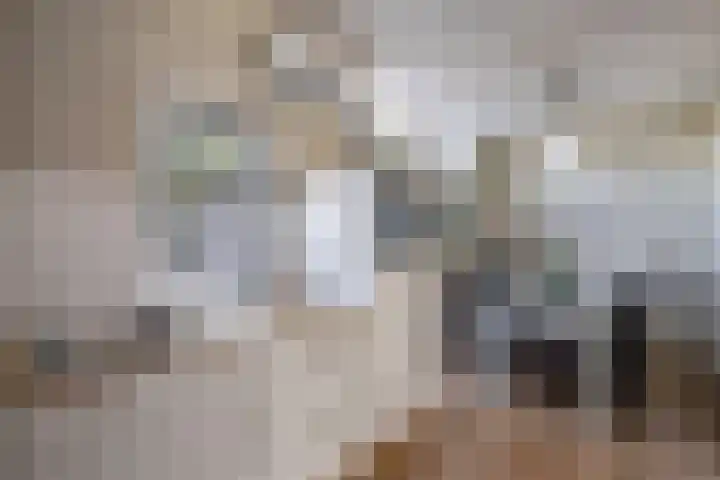 Petrus Aemiliusstraat 49 Ens thumbnail 21