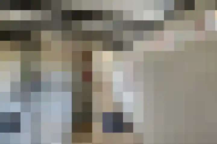 Petrus Aemiliusstraat 49 Ens thumbnail 23