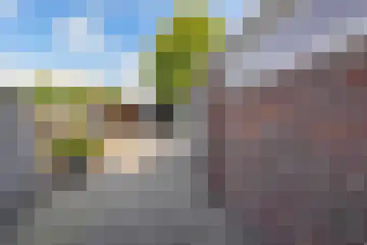 Petrus Aemiliusstraat 49 Ens thumbnail 24