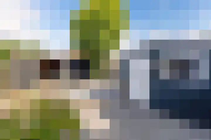 Petrus Aemiliusstraat 49 Ens thumbnail 26