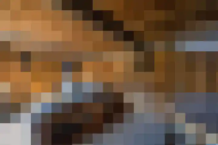 Petrus Aemiliusstraat 49 Ens thumbnail 28