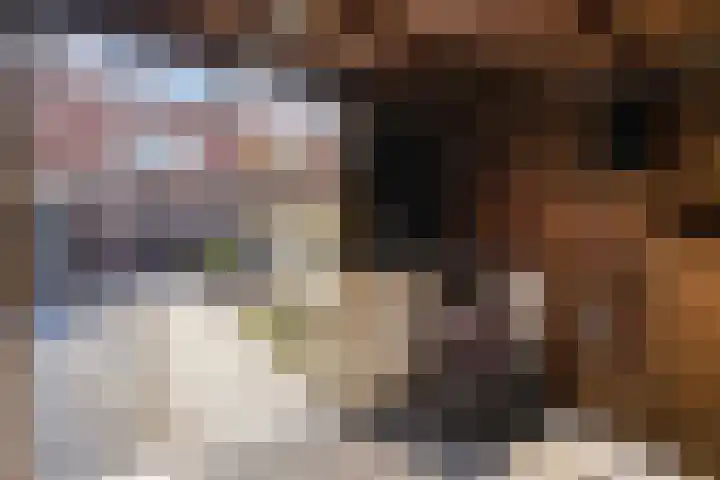 Petrus Aemiliusstraat 49 Ens thumbnail 30