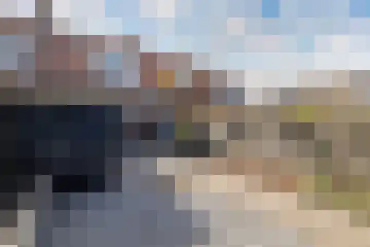 Petrus Aemiliusstraat 49 Ens thumbnail 33