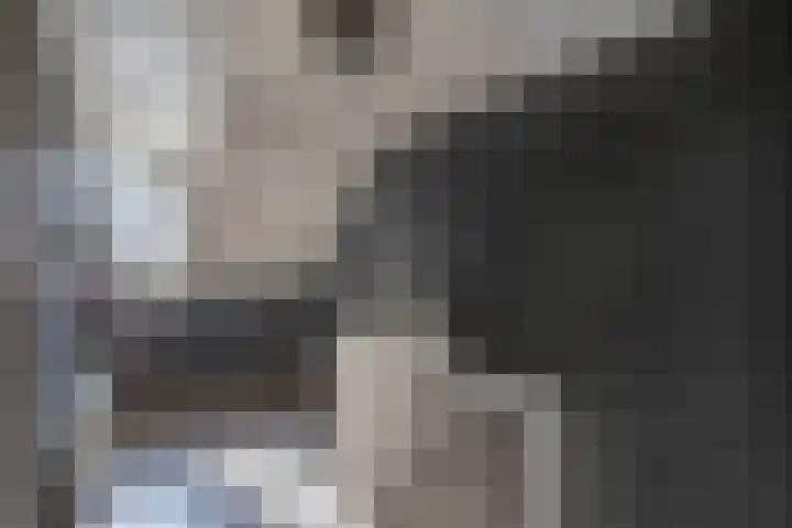 Petrus Aemiliusstraat 49 Ens thumbnail 34