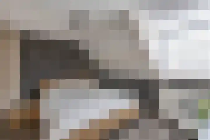 Petrus Aemiliusstraat 49 Ens thumbnail 36