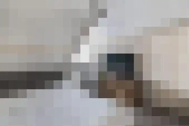 Petrus Aemiliusstraat 49 Ens thumbnail 37