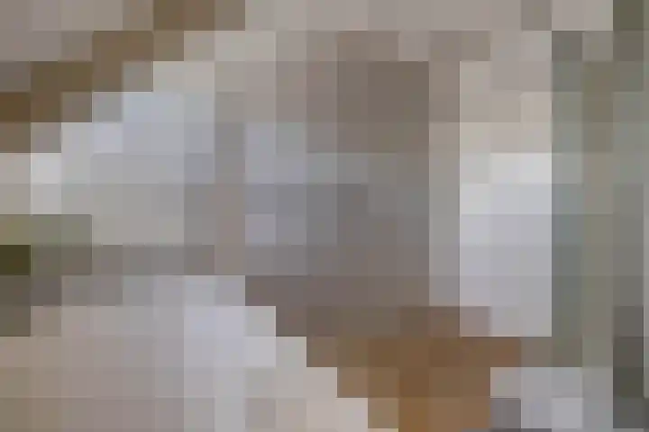 Petrus Aemiliusstraat 49 Ens thumbnail 42