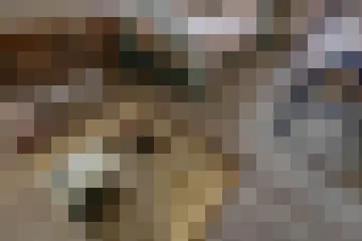 Petrus Aemiliusstraat 49 Ens thumbnail 43