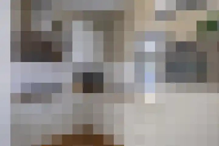 Petrus Aemiliusstraat 49 Ens thumbnail 5