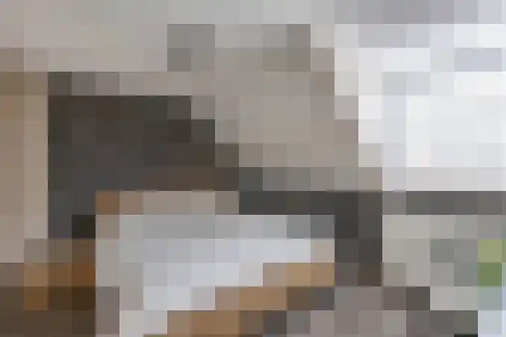 Petrus Aemiliusstraat 49 Ens thumbnail 6