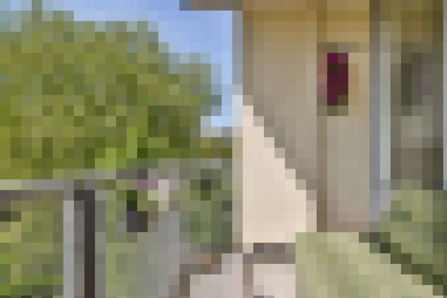 Petrus Blokhof 7 2 Amsterdam thumbnail 13