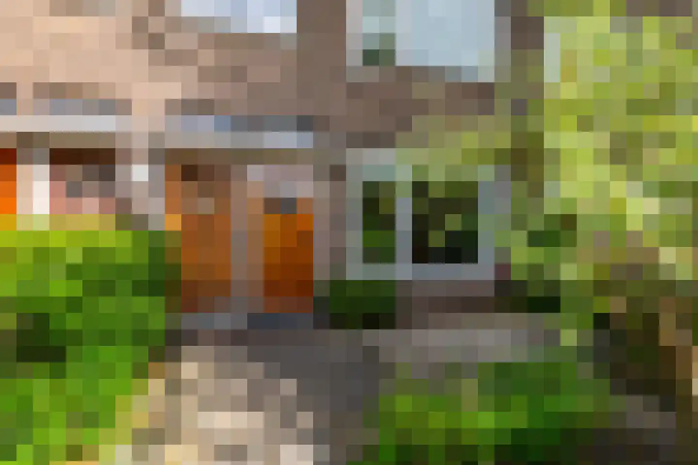 Petrus Campersingel 137 Groningen