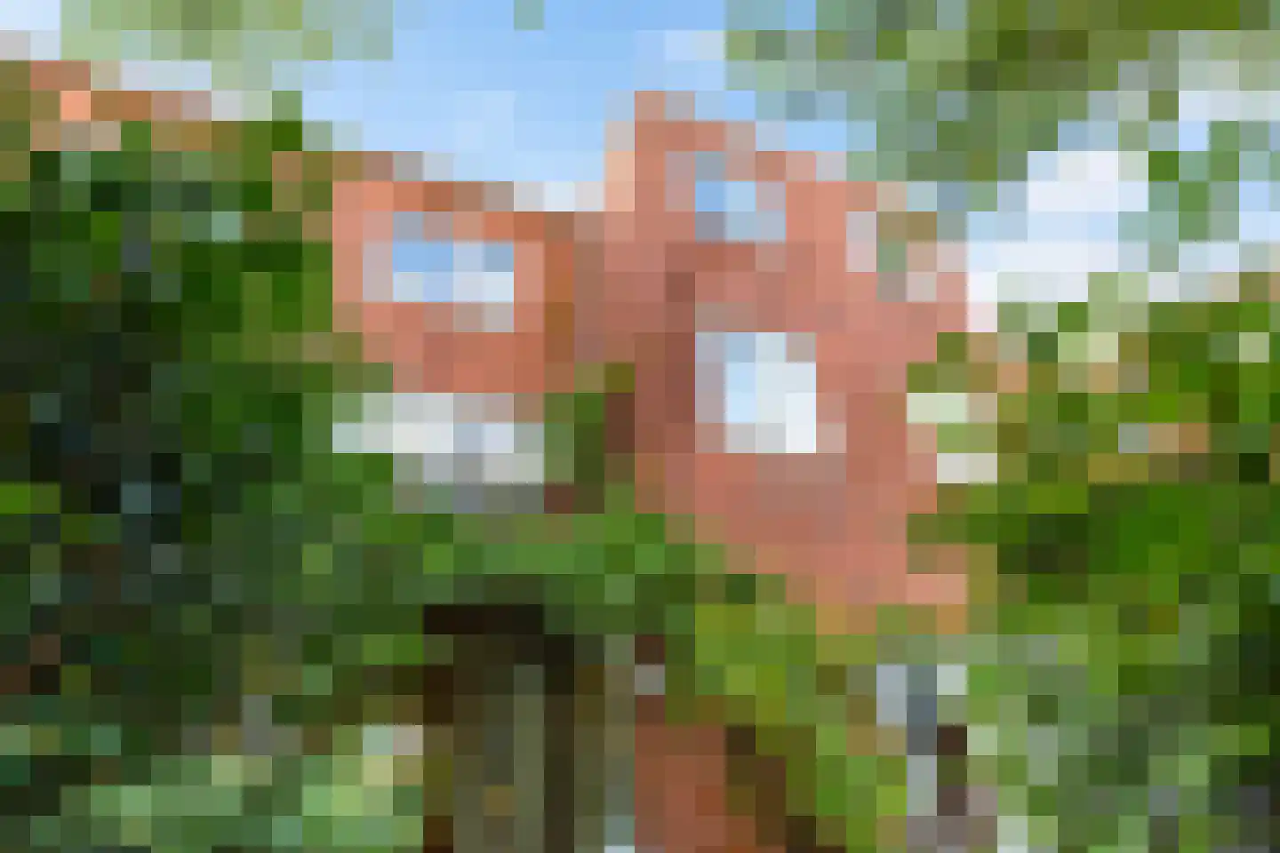 Petrus Campersingel 137 Groningen thumbnail 21