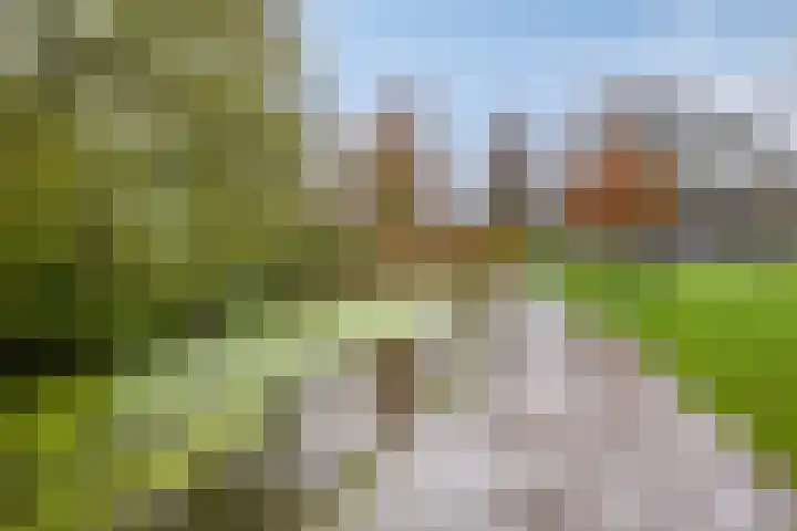Petrus Campersingel 149 a Groningen thumbnail 38