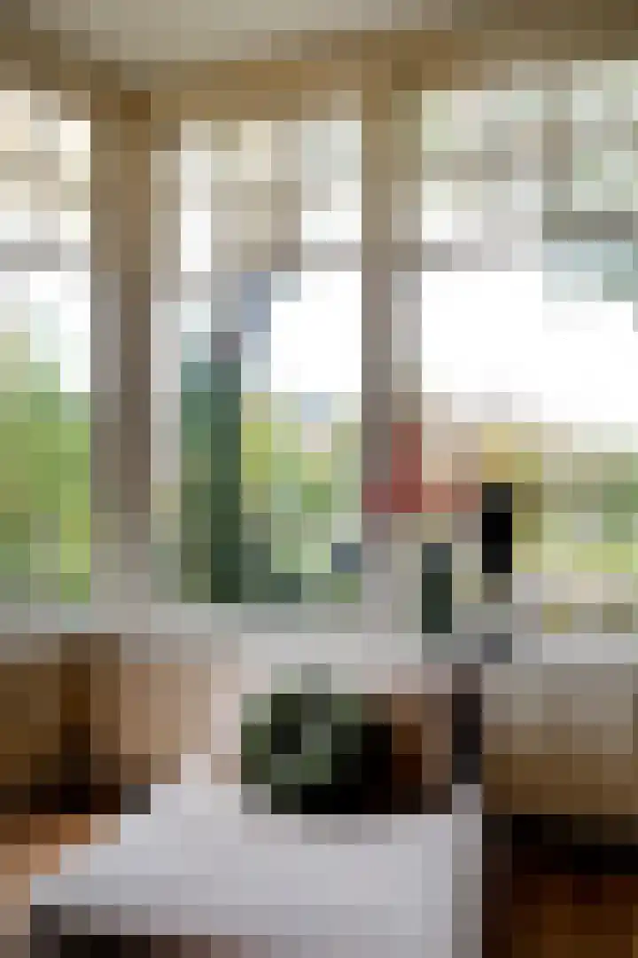 Petrus Campersingel 15 Groningen thumbnail 12