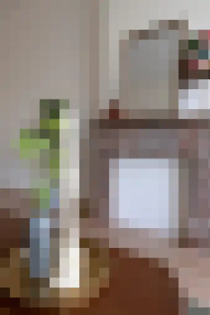 Petrus Campersingel 15 Groningen thumbnail 15