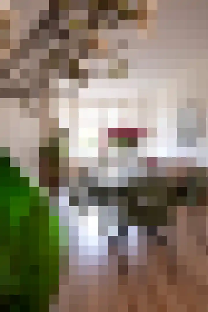 Petrus Campersingel 15 Groningen thumbnail 16