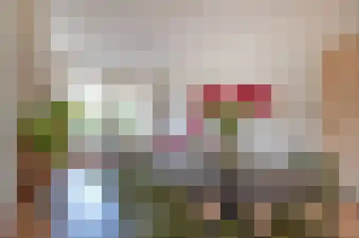 Petrus Campersingel 15 Groningen thumbnail 18