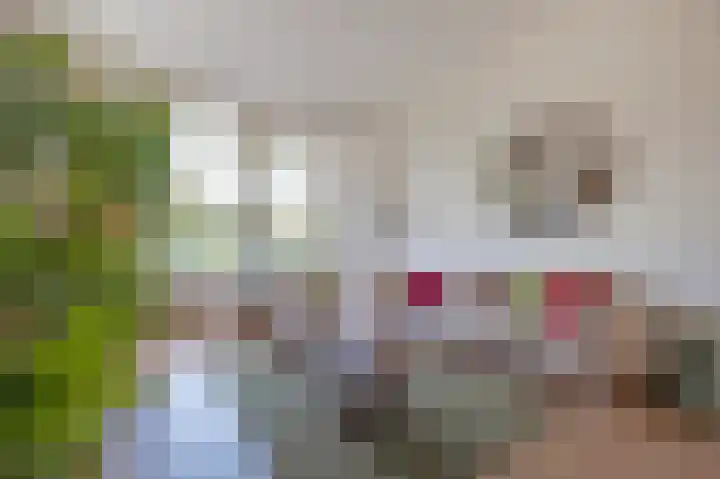 Petrus Campersingel 15 Groningen thumbnail 9