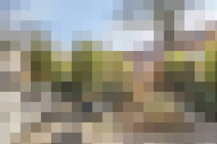Petrus Campersingel 151 Groningen thumbnail 37
