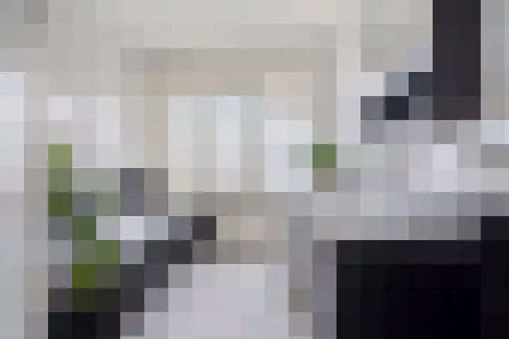 Petrus Campersingel 151 Groningen thumbnail 4
