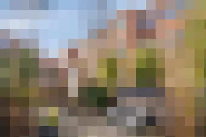 Petrus Campersingel 151 Groningen thumbnail 41