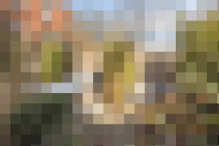 Petrus Campersingel 151 Groningen thumbnail 42