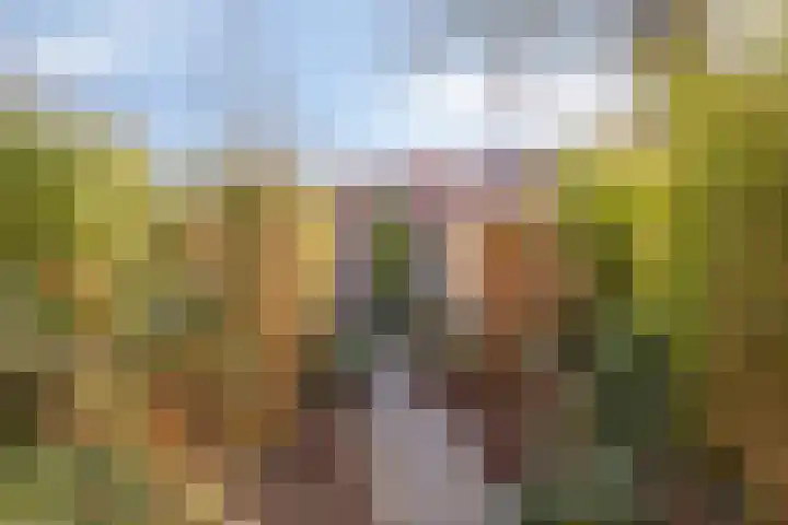 Petrus Campersingel 151 Groningen thumbnail 44