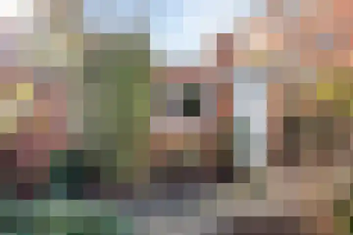 Petrus Campersingel 151 Groningen thumbnail 45